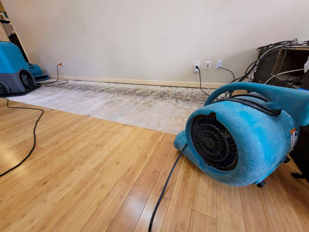Professional Ceiling Water Damage Repair technician working in Struthers, OH